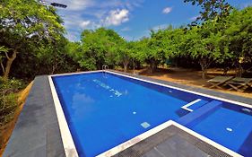 Yala Hotel Lion -Air Conditioned High Luxury Safari Camp