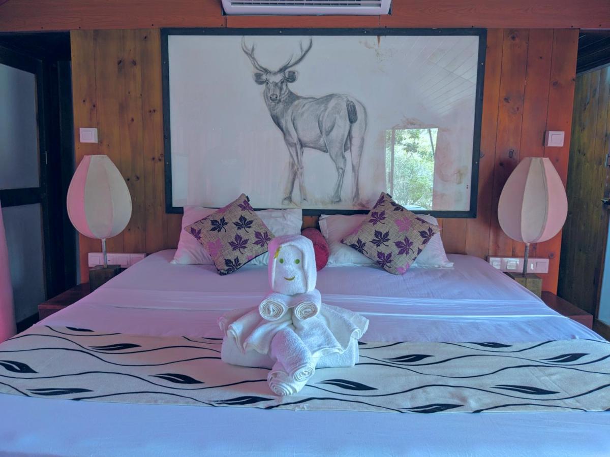 Yala Hotel Lion -Air Conditioned High Luxury Safari Camp Exterior photo