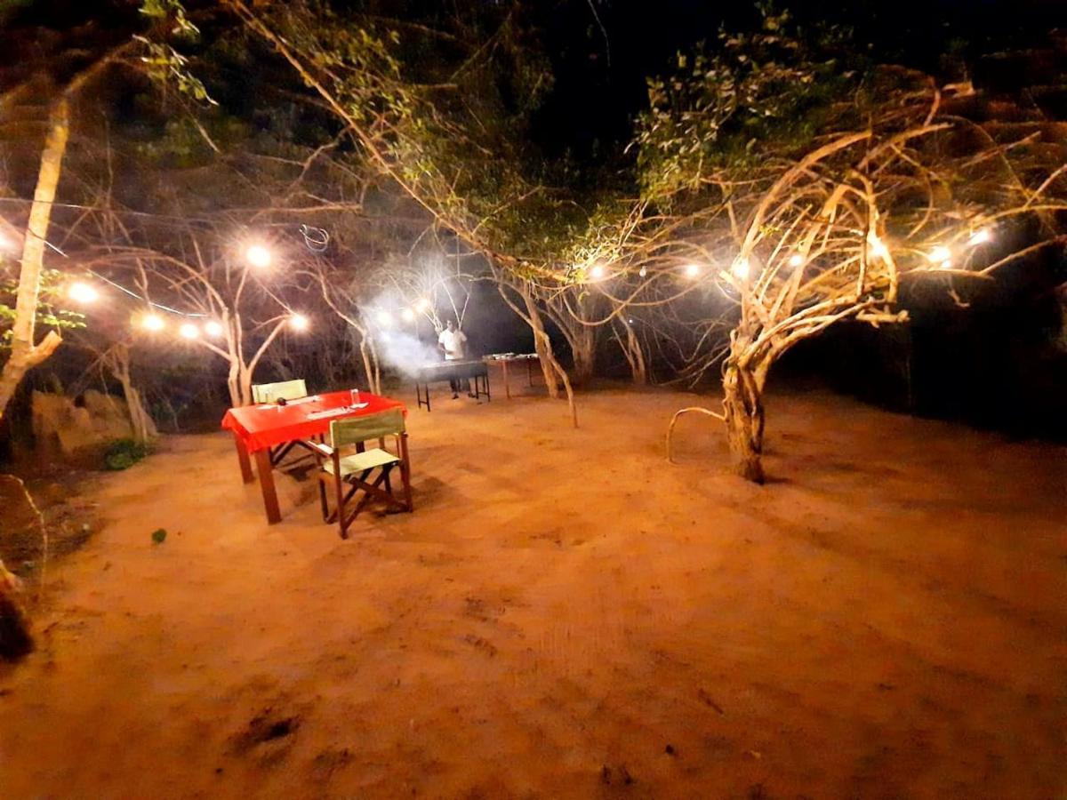 Yala Hotel Lion -Air Conditioned High Luxury Safari Camp Exterior photo