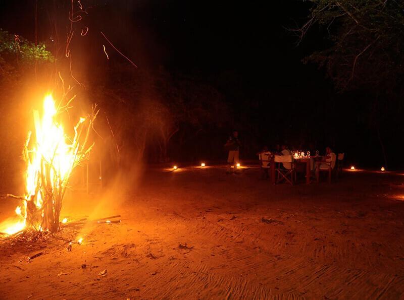 Yala Hotel Lion -Air Conditioned High Luxury Safari Camp Exterior photo