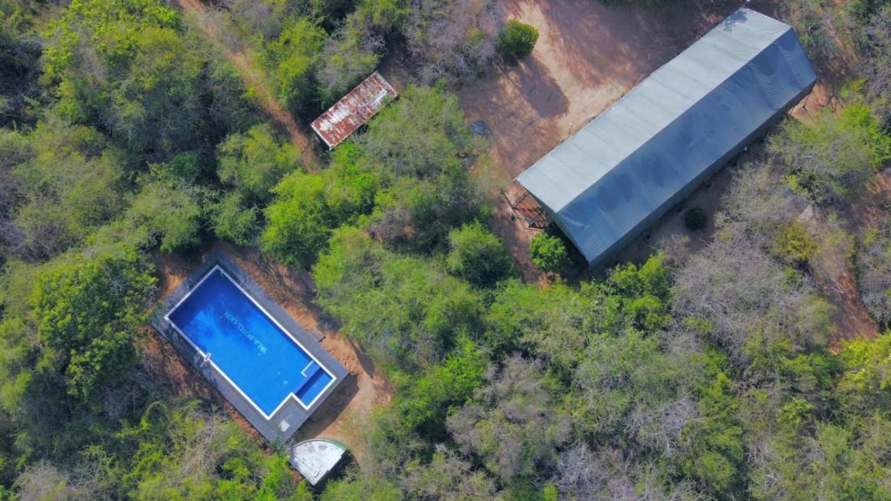 Yala Hotel Lion -Air Conditioned High Luxury Safari Camp Exterior photo