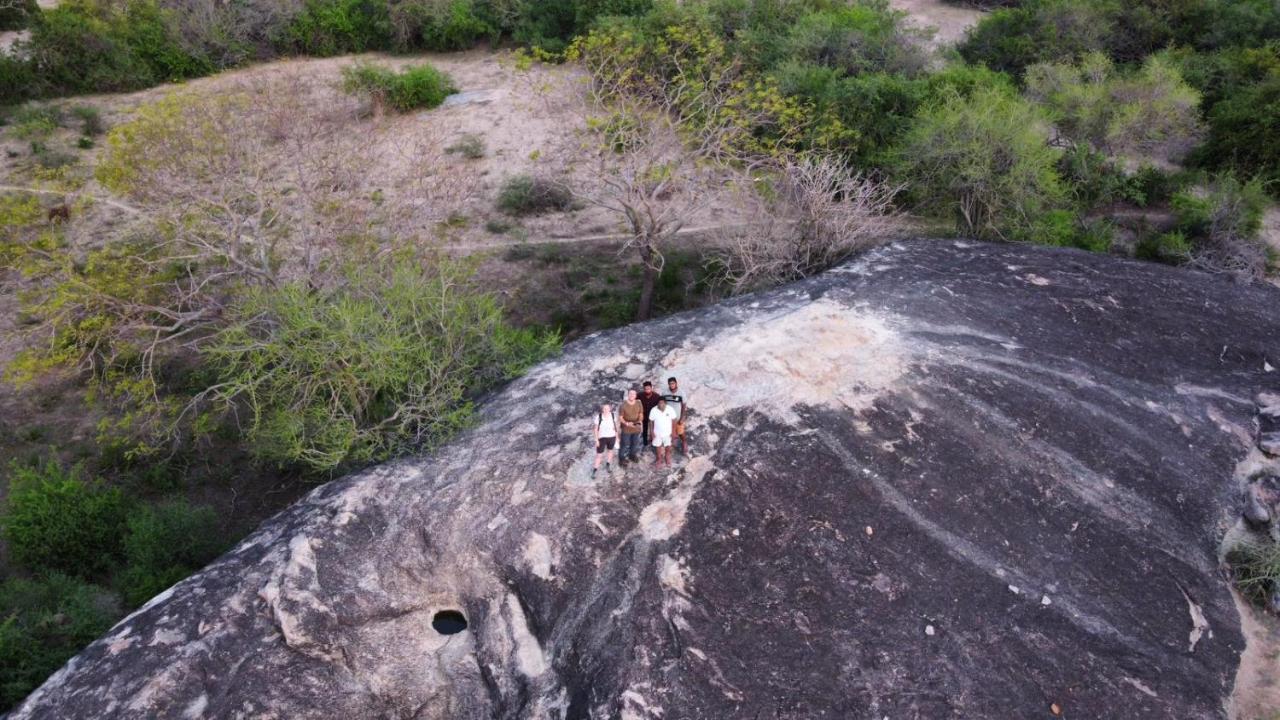 Yala Hotel Lion -Air Conditioned High Luxury Safari Camp Exterior photo