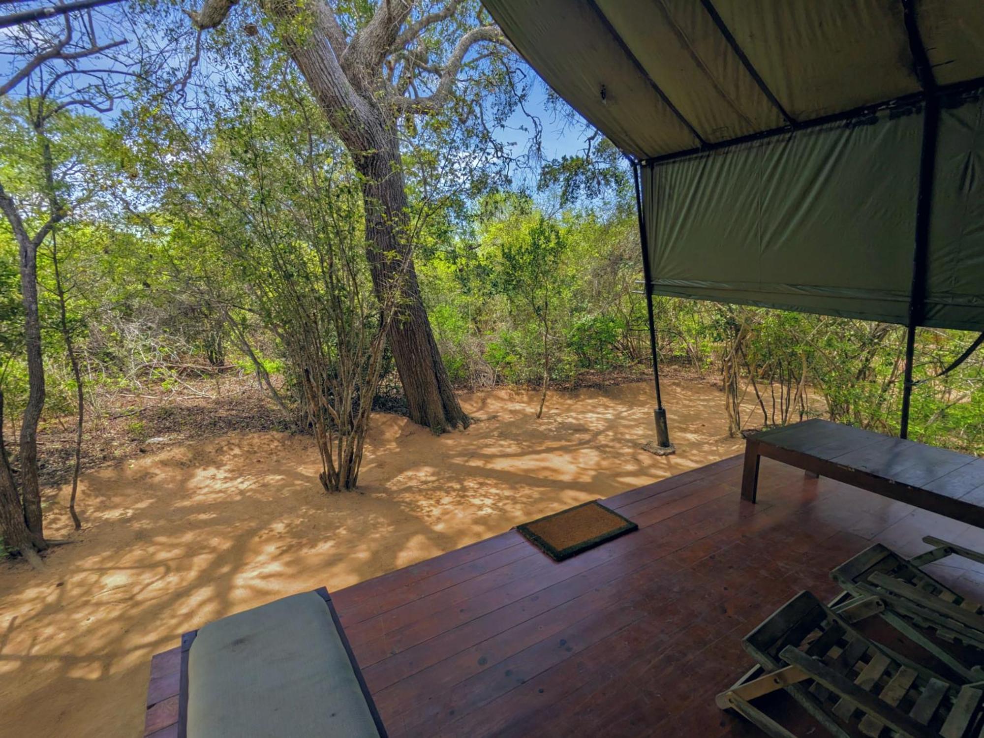 Yala Hotel Lion -Air Conditioned High Luxury Safari Camp Exterior photo