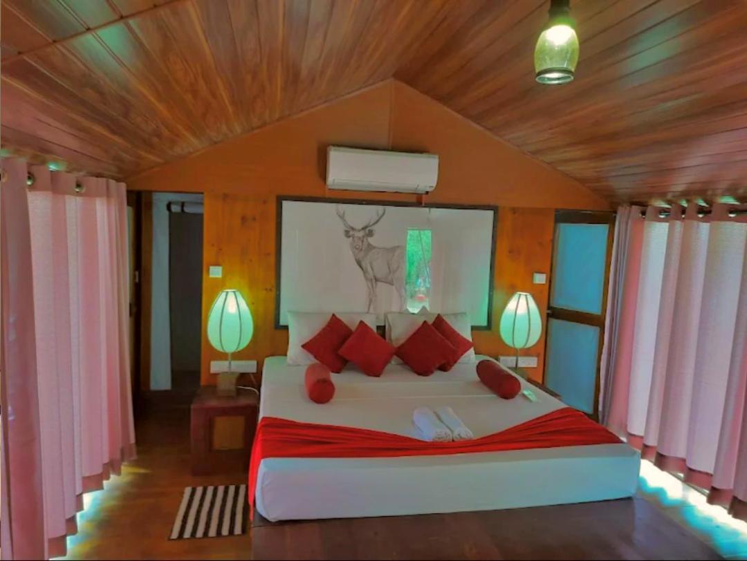 Yala Hotel Lion -Air Conditioned High Luxury Safari Camp Exterior photo